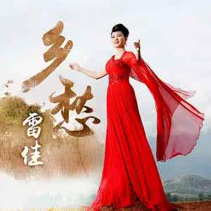 歌曲乡愁雷佳 雷佳《乡愁》全碟