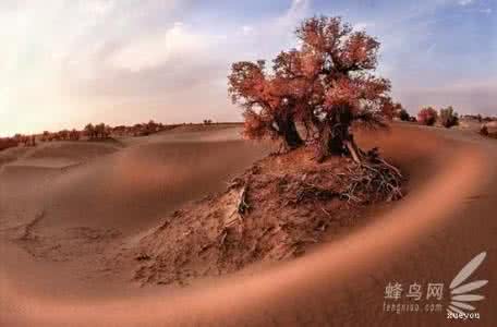 怎样才能拍好风光片 有美的意识才能拍出这般风光