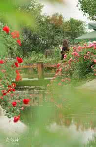 春天的宋词大全 宋词里的春天