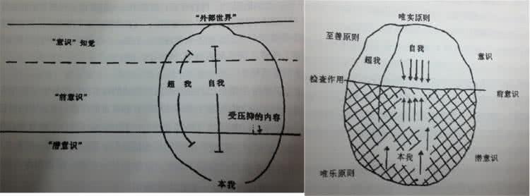 亲爱的弗洛伊德 弗洛伊德的最佳读法