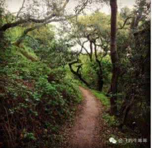 岁月蹉跎 时光荏苒 岁月蹉跎 时光荏苒 时光流年，岁月蹉跎