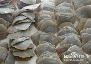 穿山甲鳞片功效 穿山甲鳞片 穿山甲鳞片的功效及作用