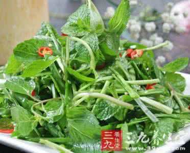 野菜的营养价值 【野菜系列】春季野菜最养人 ，荐30道野菜养生食谱