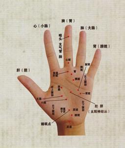 湿疹内脏器官疾病 内脏疾病可由五根指头查出