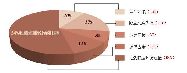 脂溢性脱发的病因 找准病因 治疗脱发首先要找准病因