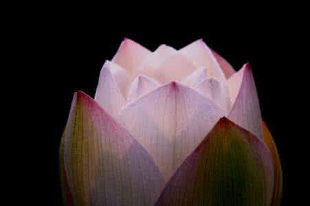 平淡是真 平淡是真 平淡便是真