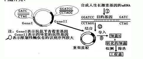 2014年高考高中生物基因工程习题