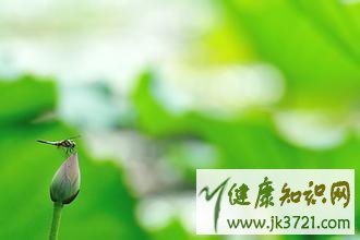 破土宜忌 破土宜忌日查询 “破土”三大忌