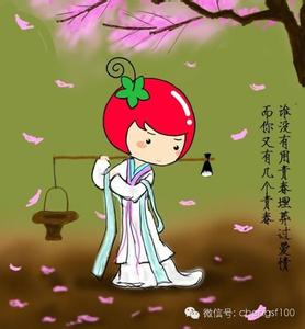 生命因宽容而闪光 给生命一份真实，给自已一份感激，给他人一份宽容