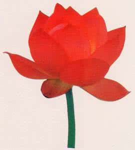 千古预言中的透天玄机 千古预言中的透天玄机 揭千古预言胡无百年运 蒙古是怎么被赶出东欧的