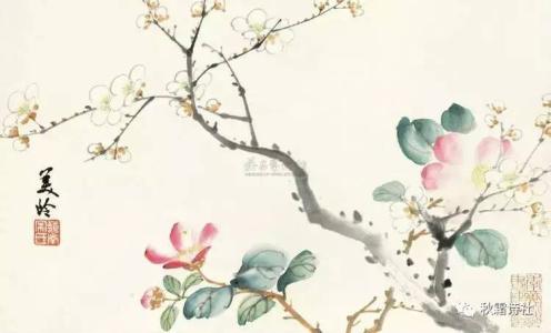 秋霜 电视剧 【秋霜诗词】第八十六期