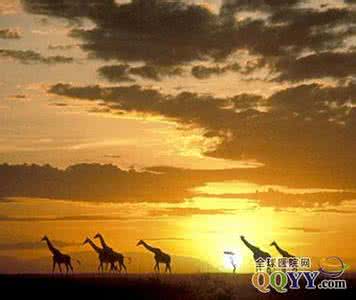 世界十大运河 【转】世界十大知名运河