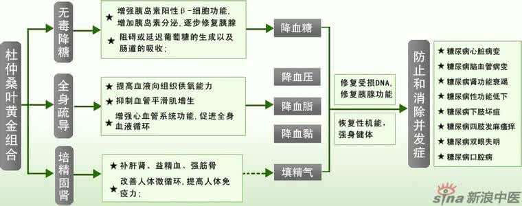 二型糖尿病能治愈吗 糖尿病康复新模式九大作用机理