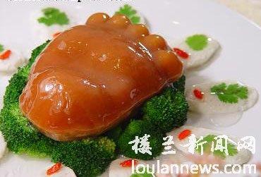 兰花熊掌多少钱一只 兰花熊掌