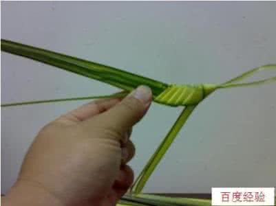 草编昆虫 怎样制作草编昆虫