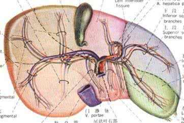 肝血管瘤应该注意什么 肝血管瘤应该注意什么？