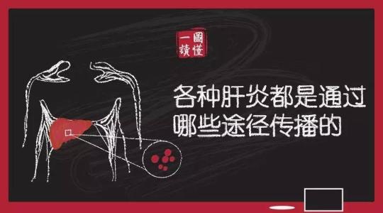 甲型肝炎的传播途径 健康笔记丨各种肝炎都是通过哪些途径传播的