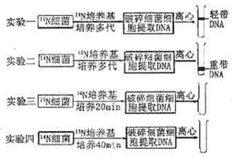 奥数鸡兔同笼解法思路 简单试题的不同解法思路