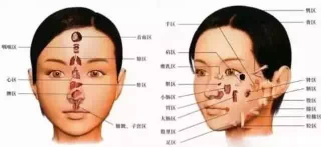 河蚌怎么清洗干净内脏 内脏干净皮肤就会好 内脏有多干净 脸蛋就有多漂亮