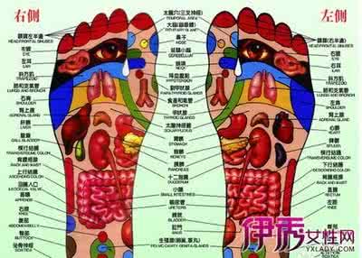 足底按摩手法图 足底按摩穴位图 简单易学的足底按摩法