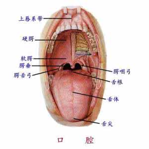 治愈痔疮的奇效疗法 【宫廷秘方】治愈痔疮的奇效疗法，非常管用并且能根治 编辑：鲍新宇