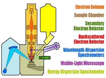 电子探针微量分析 电子探针X射线微区分析