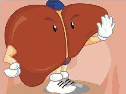 身體有這幾個特征，說明你的肝臟超健康！要不要來測測看？