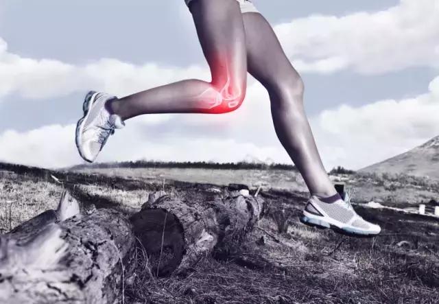 膝關節養護指南：在運動與休息之間保持最佳平衡