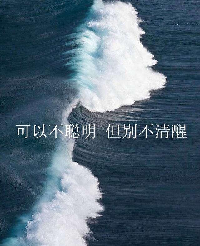 暖心美文：疲惫的生活总要有一点温柔的梦想