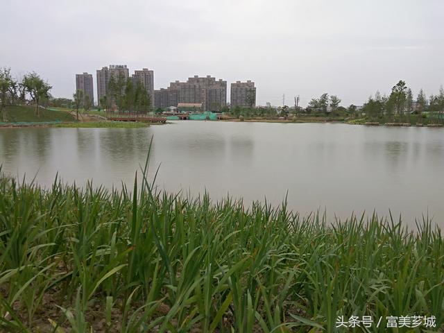芗城：有“小碧湖”之称的西院湖生态园美景初现（图）