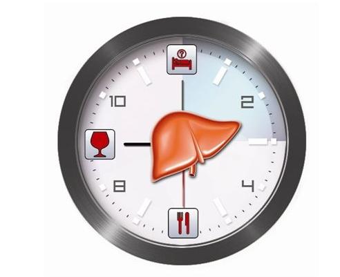 身體有這幾個特征，說明你的肝臟超健康！要不要來測測看？