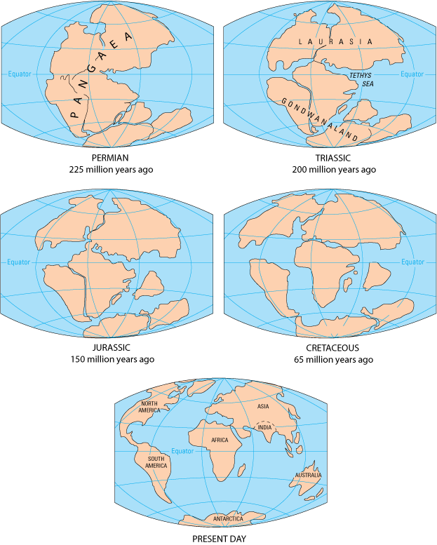 巴西和喀麦隆2亿多年前连成一片，如今隔着大西洋