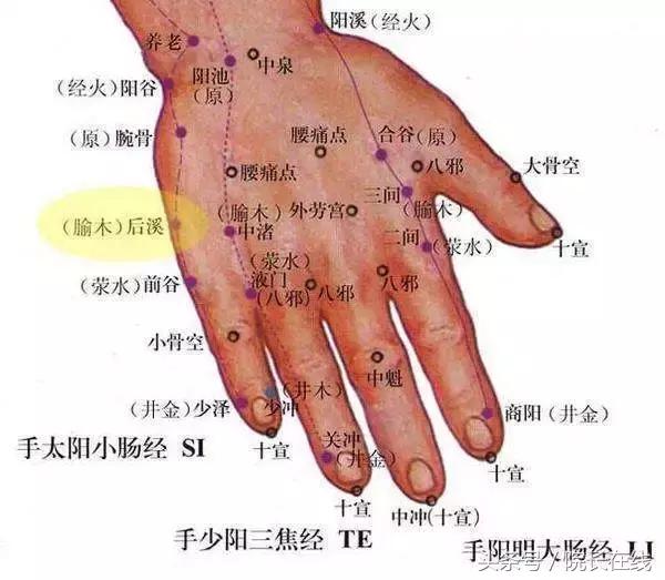 百年中医传人程凯：手指能排毒，泻肺火、胃火，祛痘、护咽喉